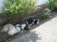 Thumbs/tn_Bild 071.jpg